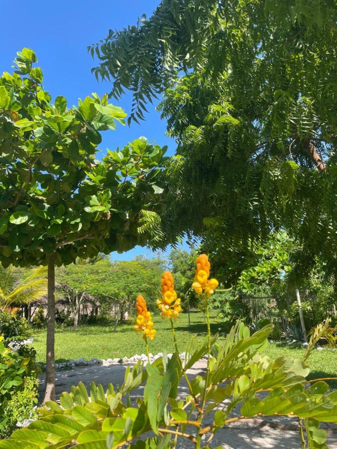Botanica Eco Lodge Michamvi Екстериор снимка