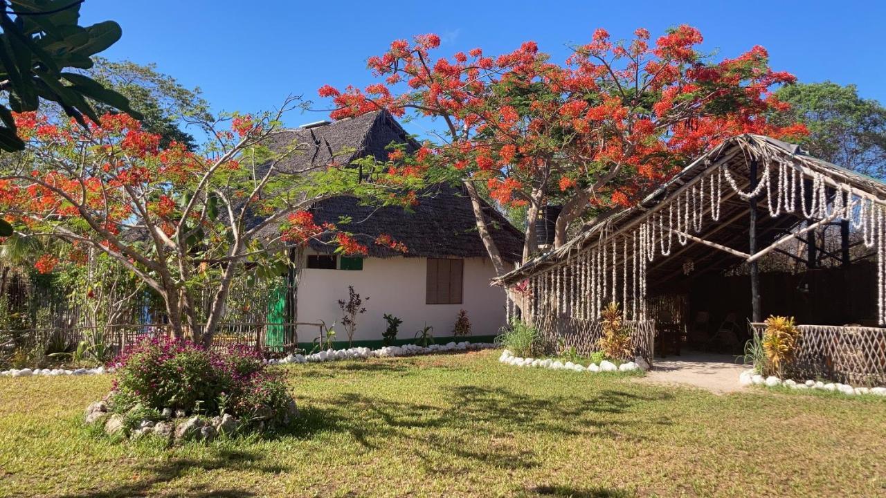 Botanica Eco Lodge Michamvi Екстериор снимка