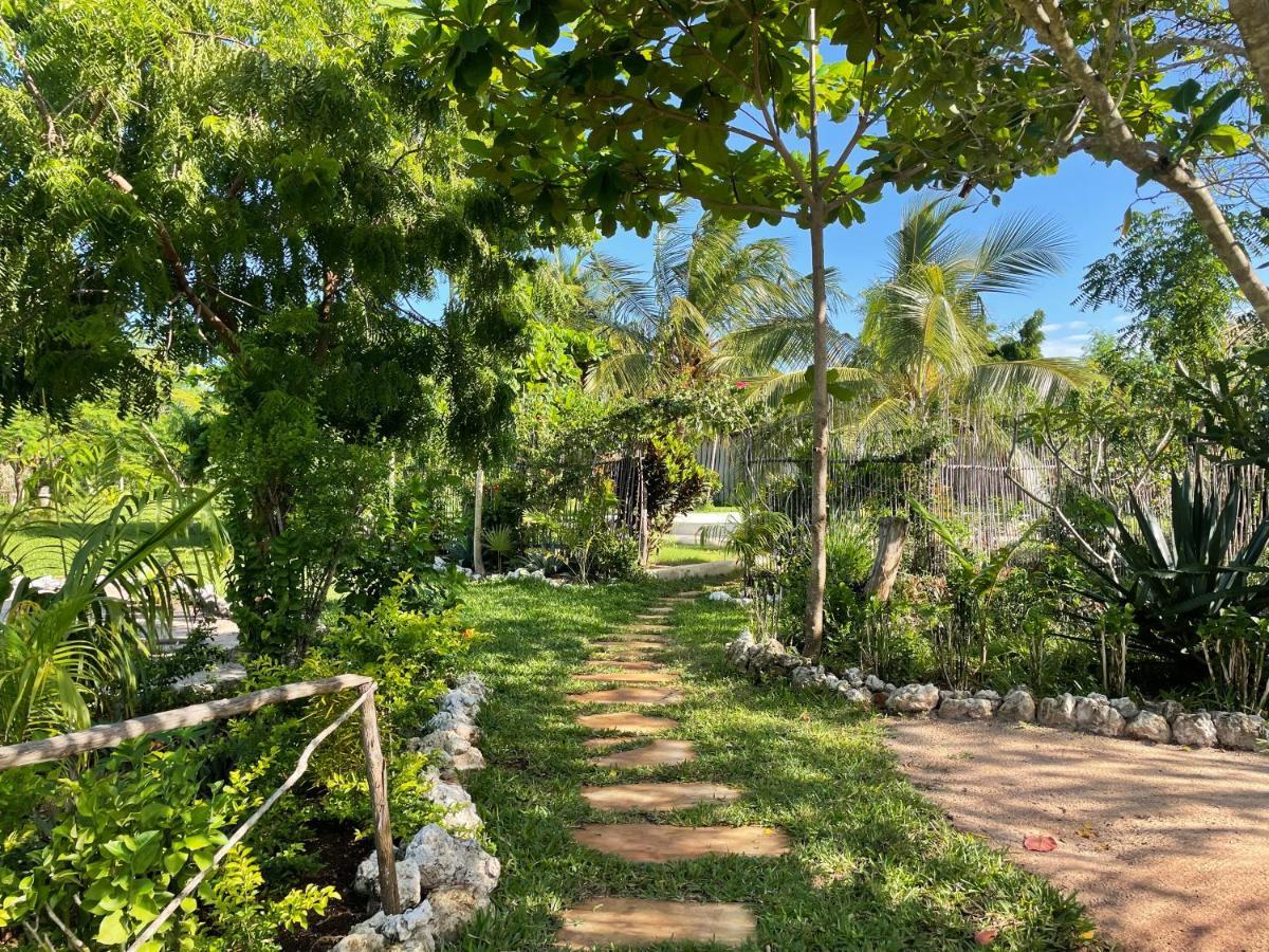 Botanica Eco Lodge Michamvi Екстериор снимка